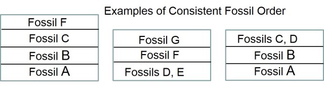 Examples of Fossil order